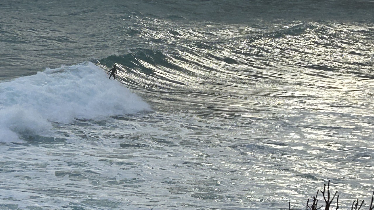 Photo of Others in Port Campbell