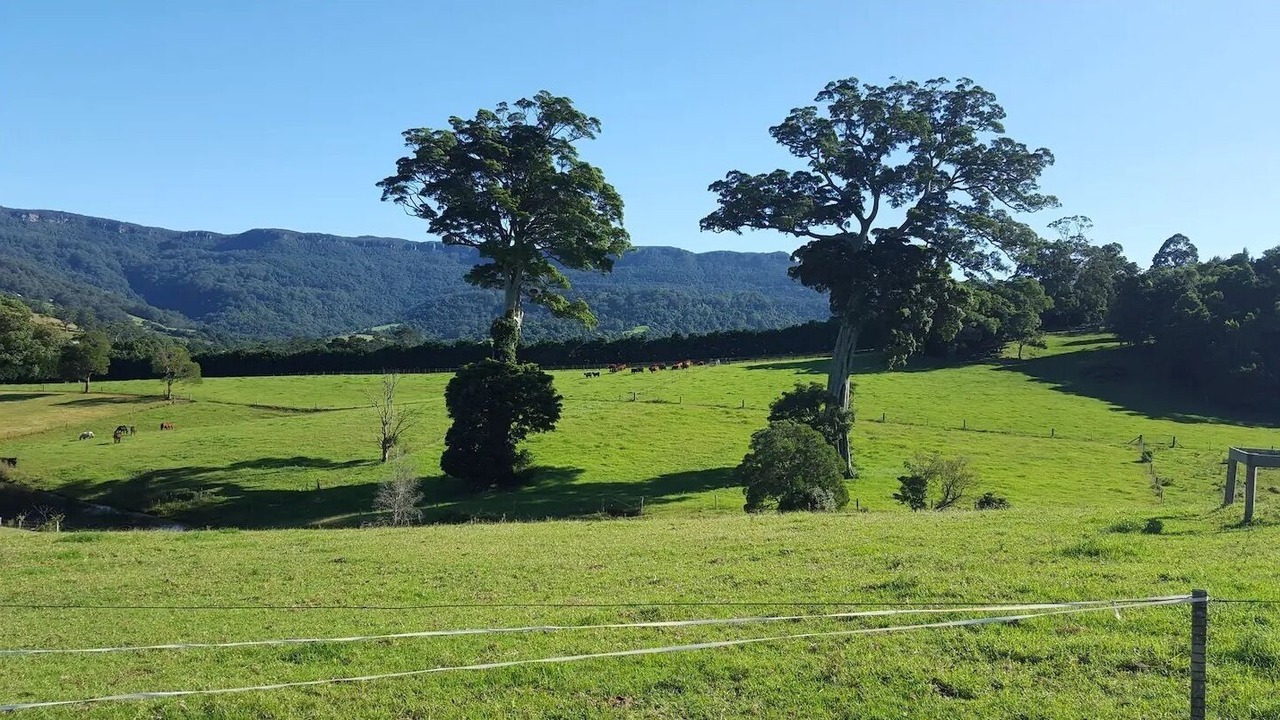 Photo of Others in Foxground