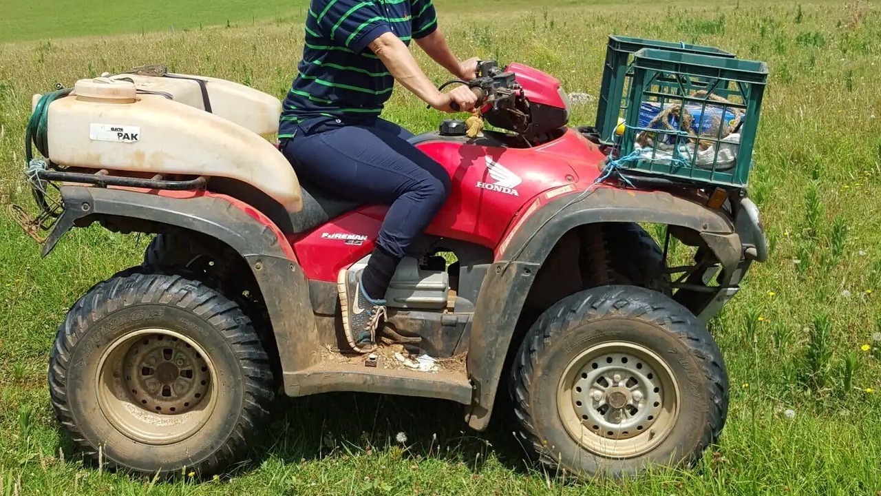 Photo of Others in Foxground