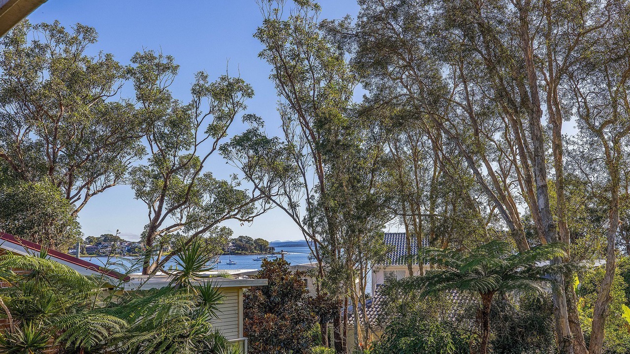 Photo of Others in Tanilba Bay