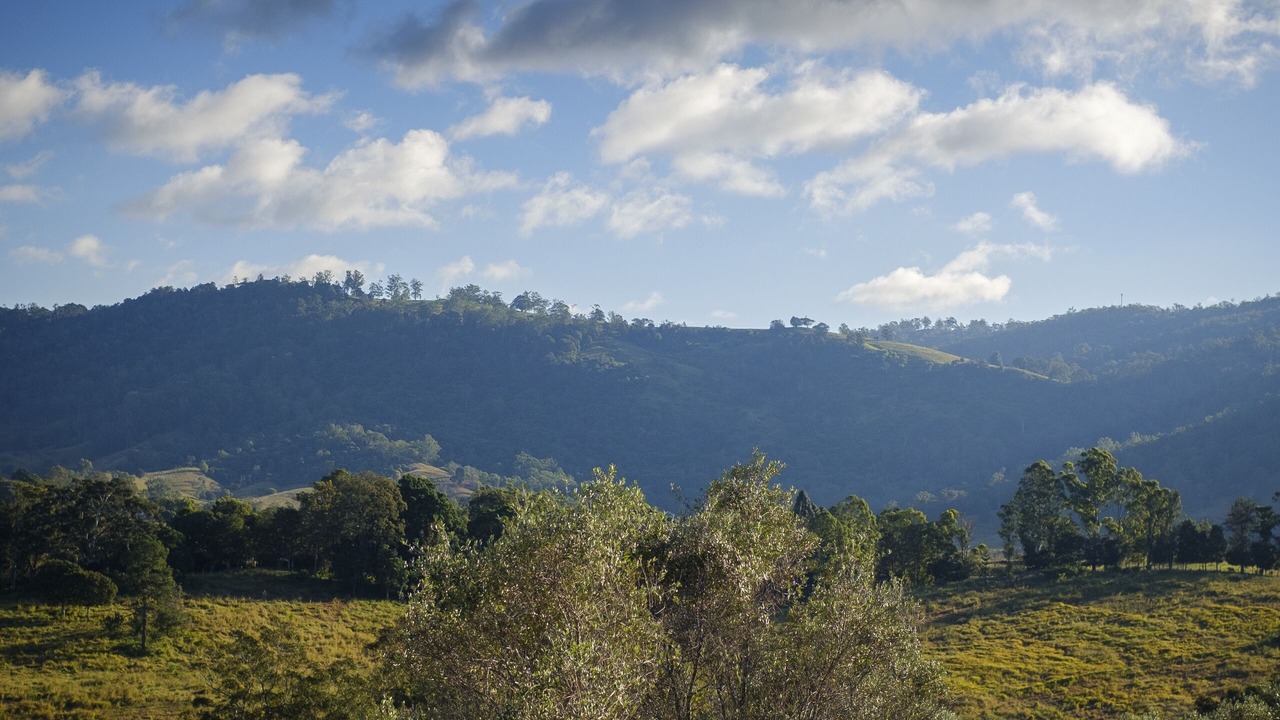Photo of Others in Moreton Bay Region