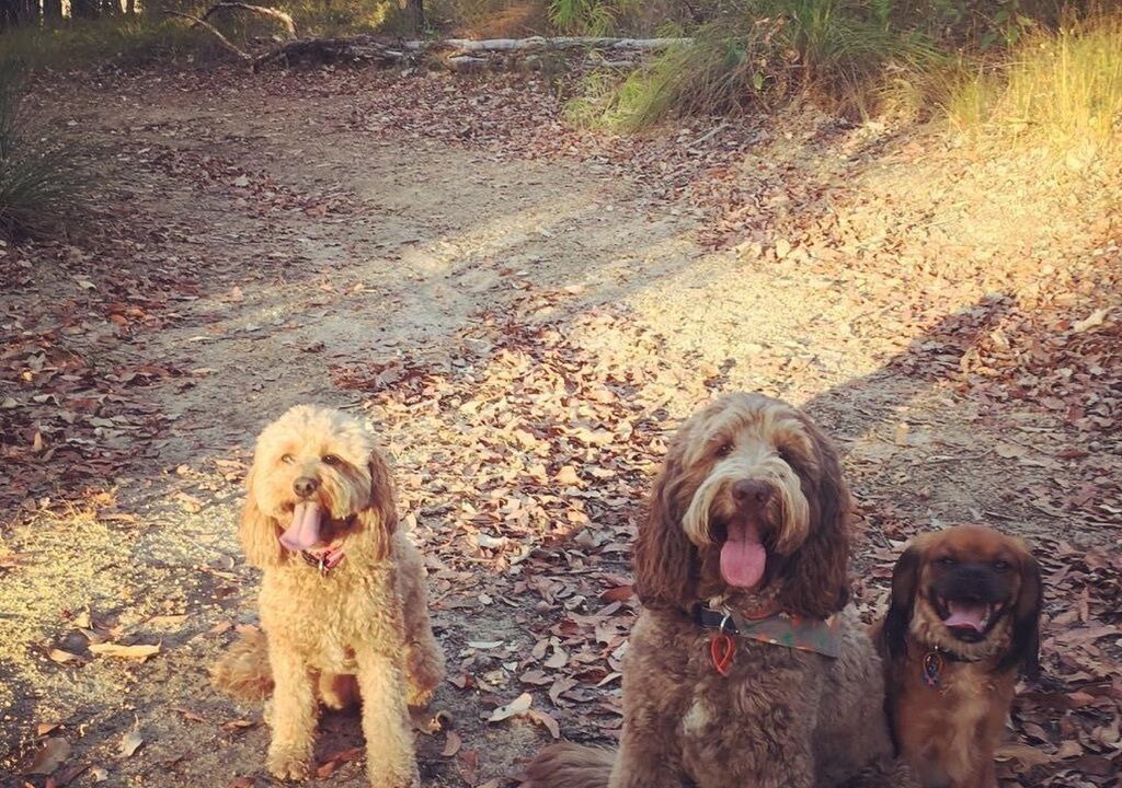Photo of Others in Nannup