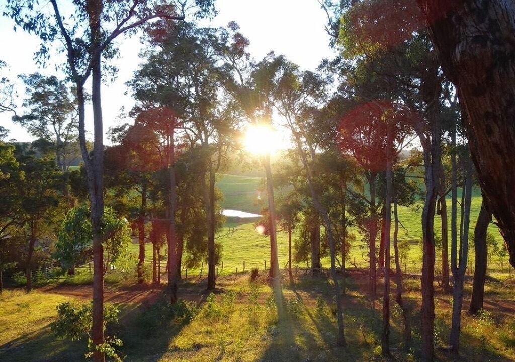 Photo of Others in Nannup