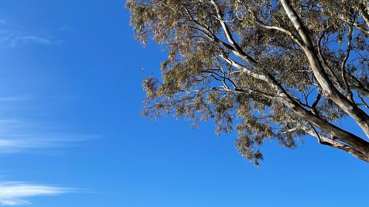 Photo of Others in Eagle Point