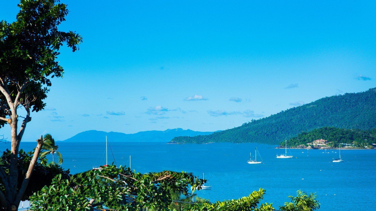 Photo of Others in Airlie Beach