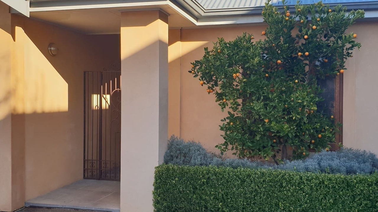 Photo of Outdoor in Tanunda