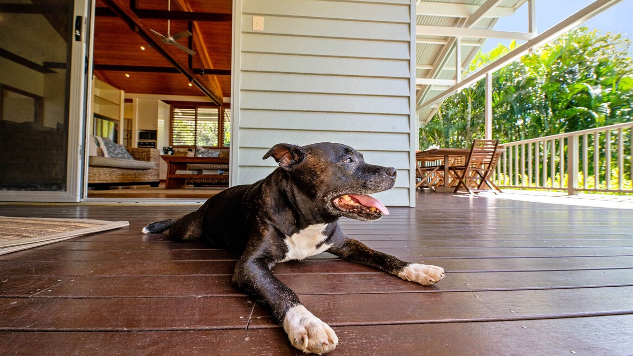 Photo of Outdoor in Mudjimba