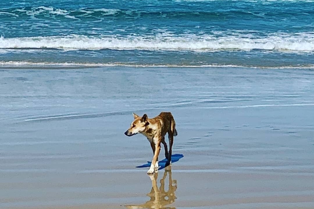 Photo of Others in Kingfisher Bay