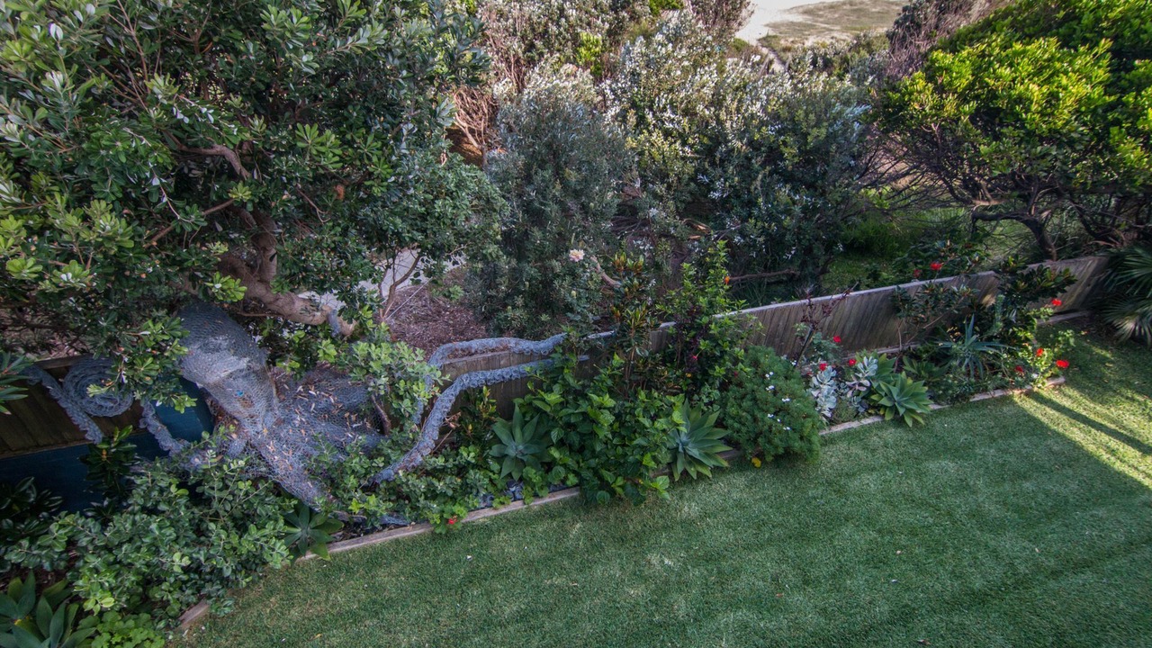 Photo of Outdoor in Blueys Beach
