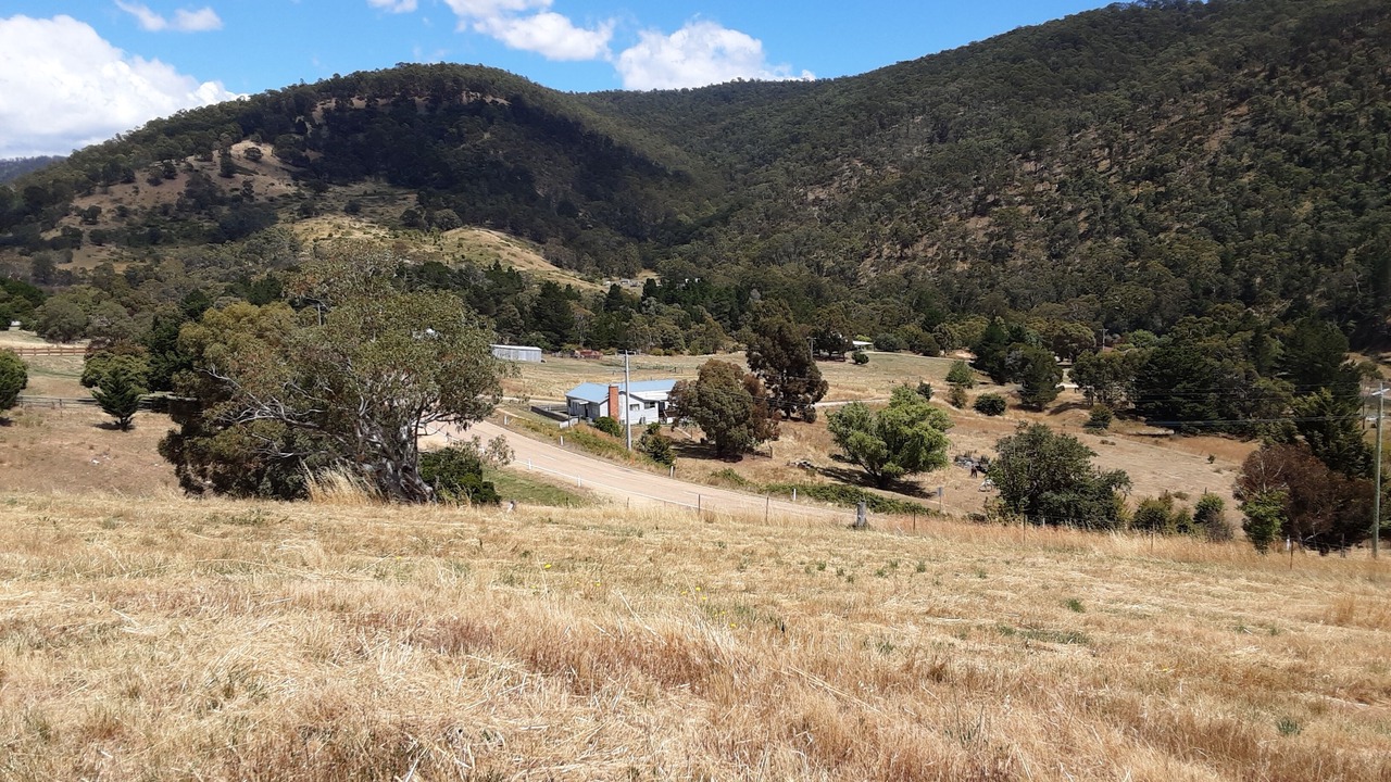 Photo of Others in Omeo