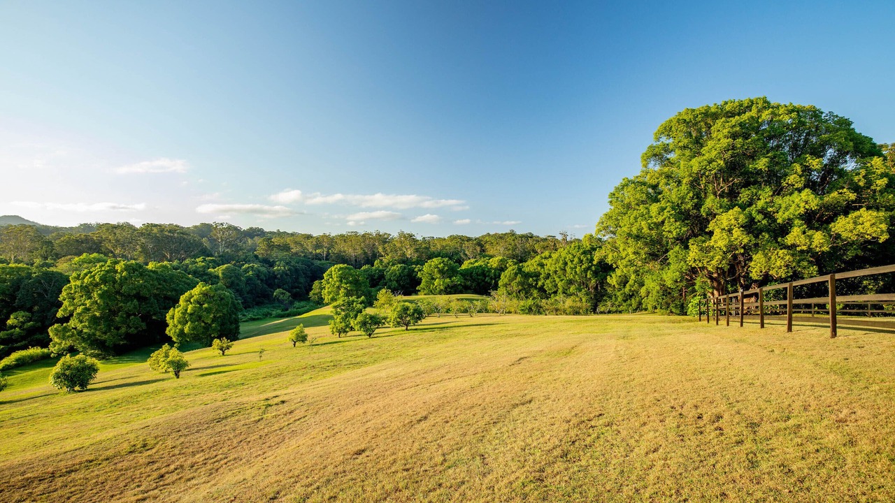 Photo of Others in West Woombye