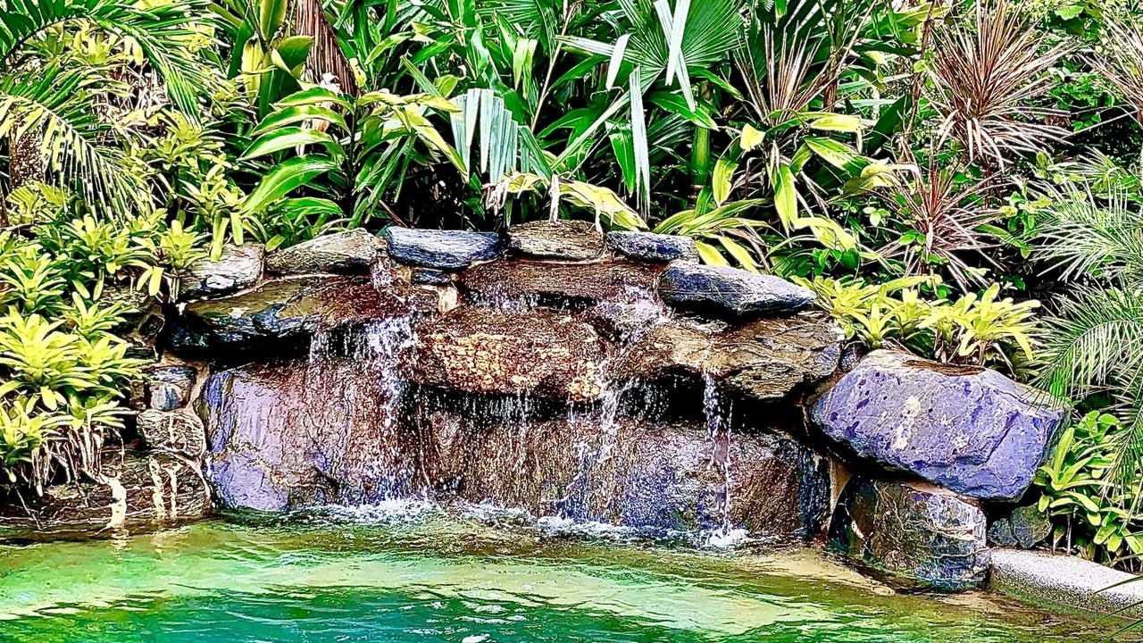 Photo of Outdoor in Kewarra Beach