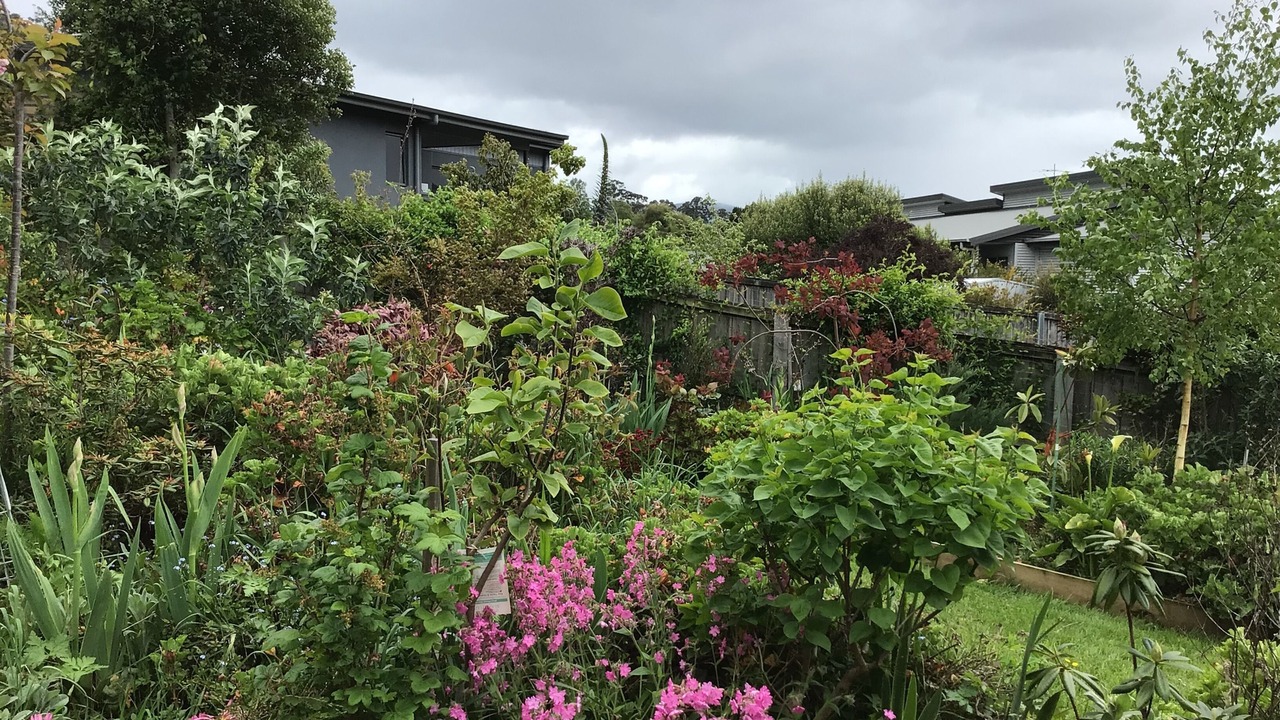 Photo of Outdoor in Huonville