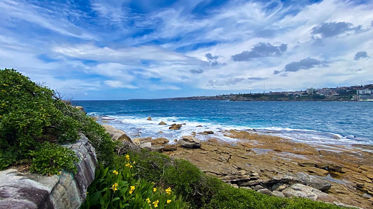 Photo of Others in Bondi Beach