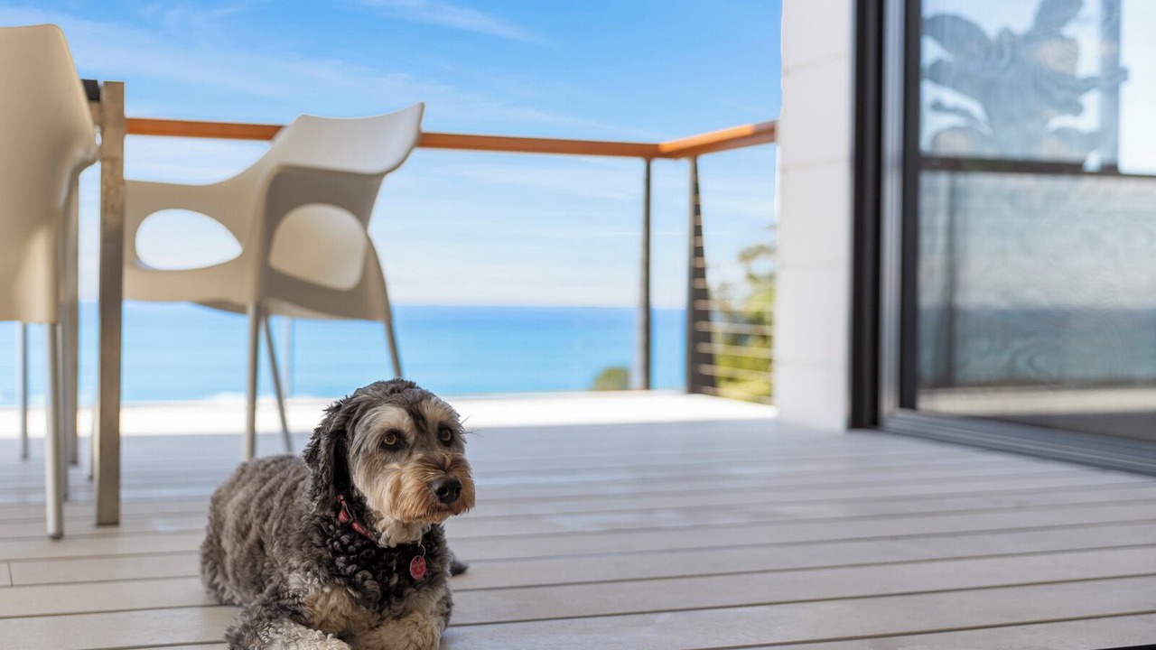 Photo of Patio Balcony in Korora