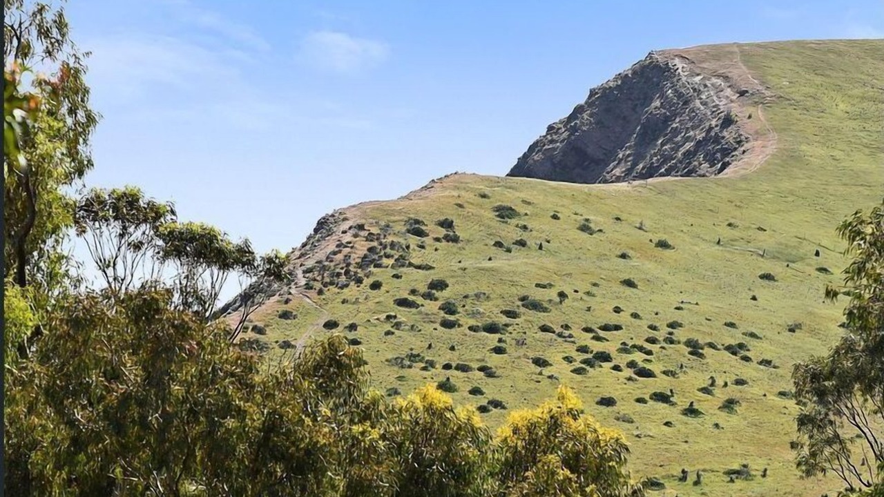 Photo of Others in Second Valley