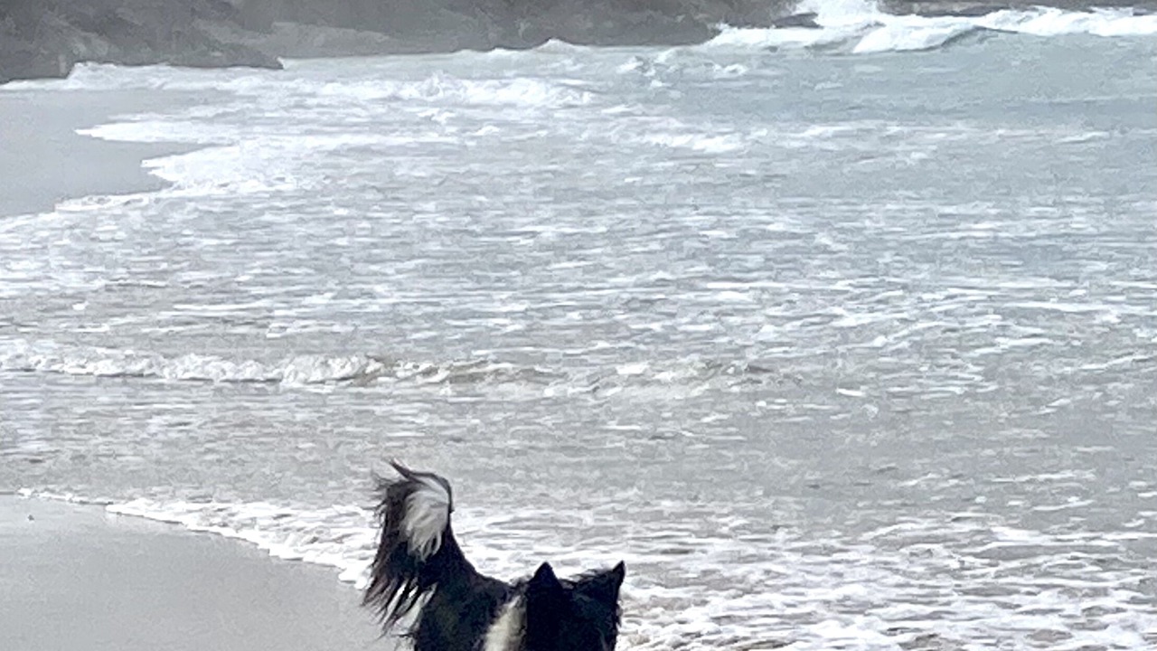 Photo of Others in Pambula Beach