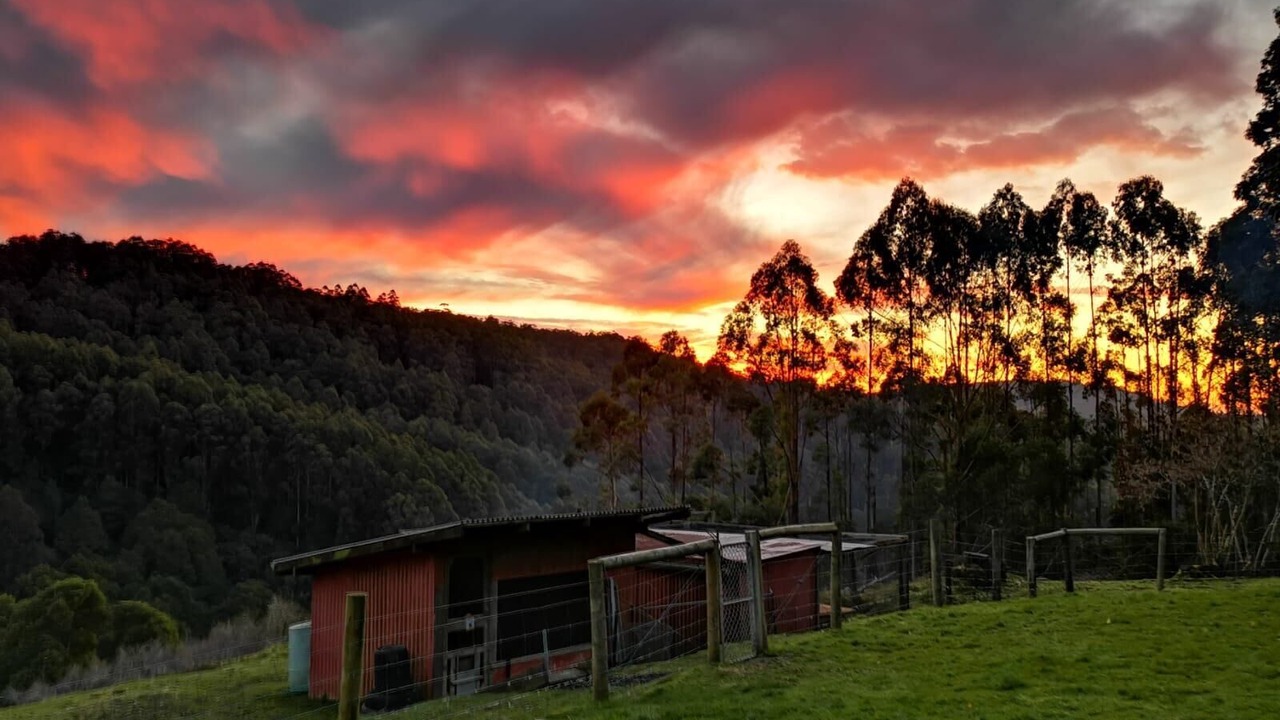 Photo of Outdoor in Barramunga