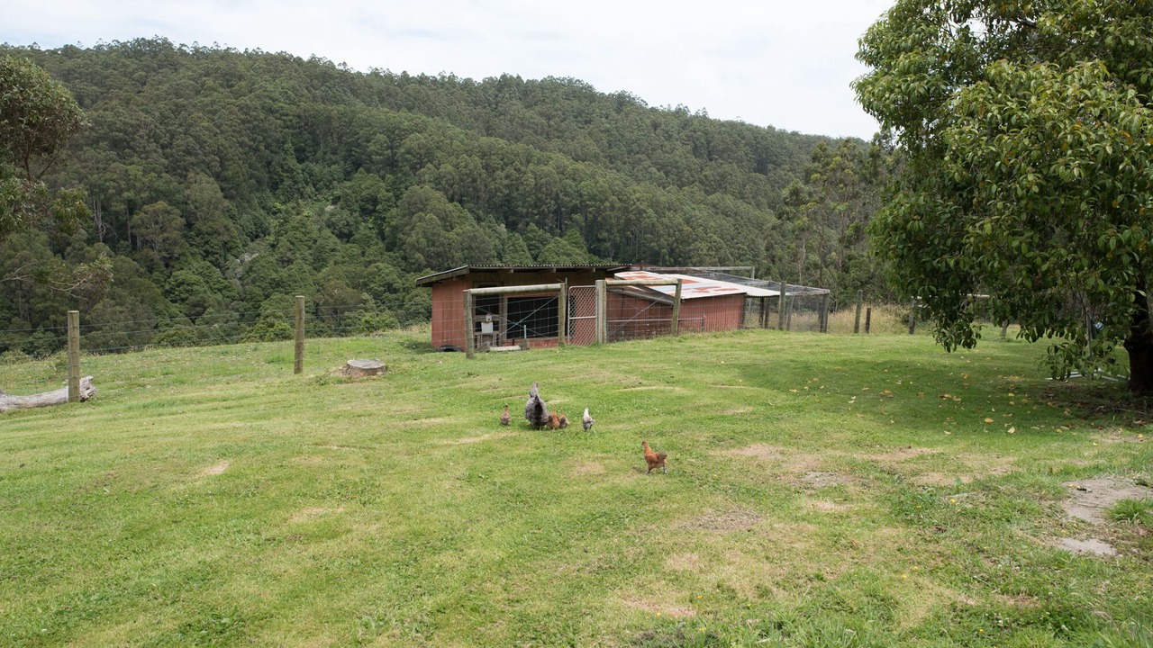 Photo of Outdoor in Barramunga