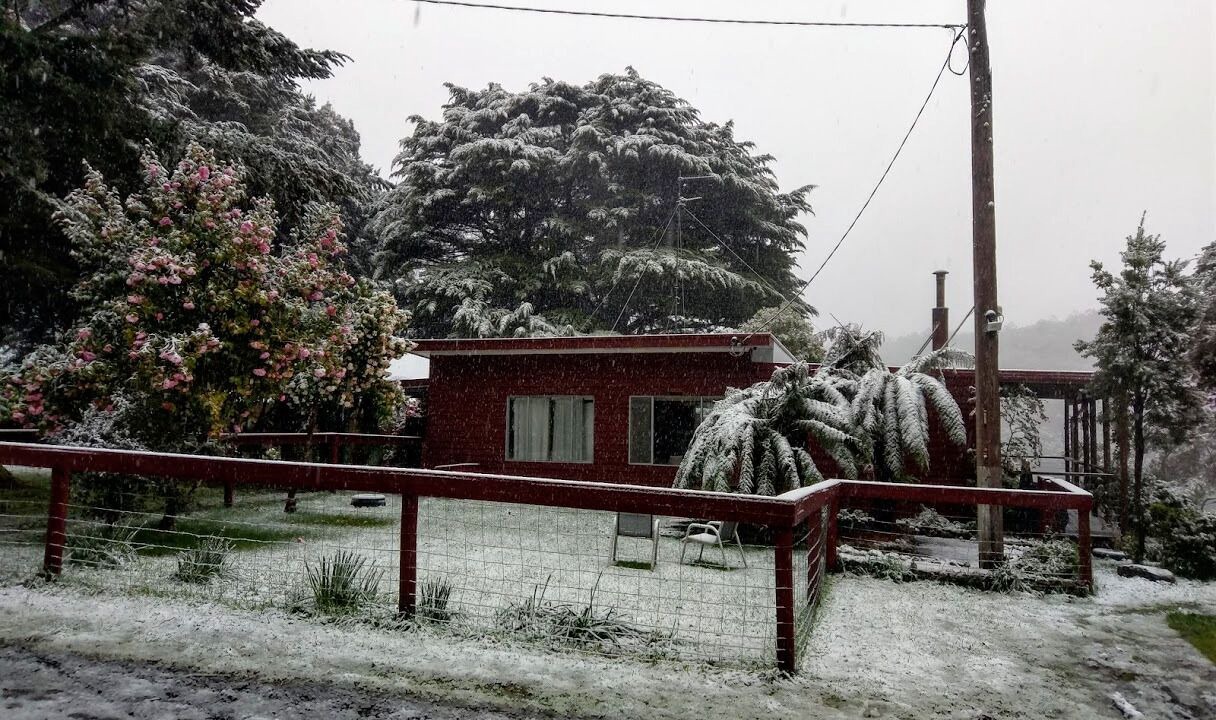 Photo of Outdoor in Barramunga