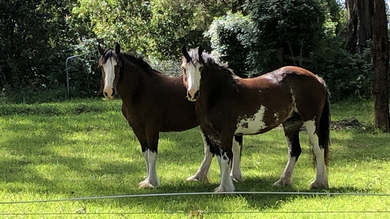 Photo of Others in Broughton Village