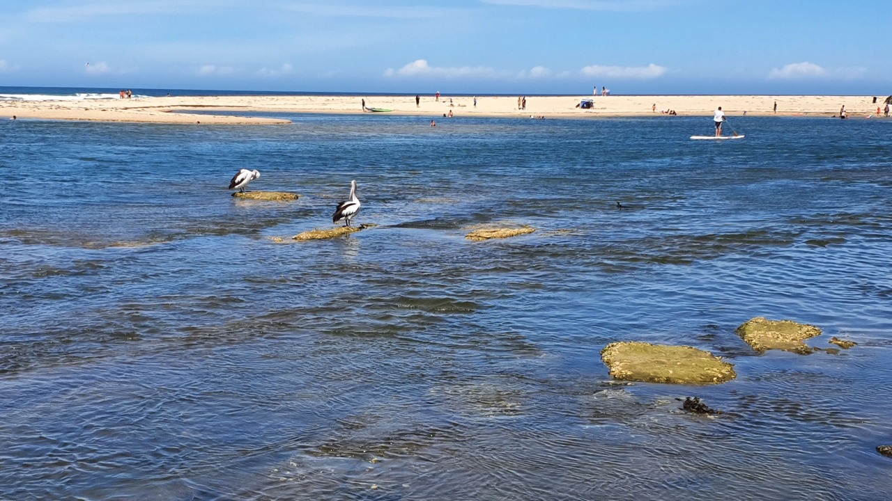 Photo of Others in Central Coast