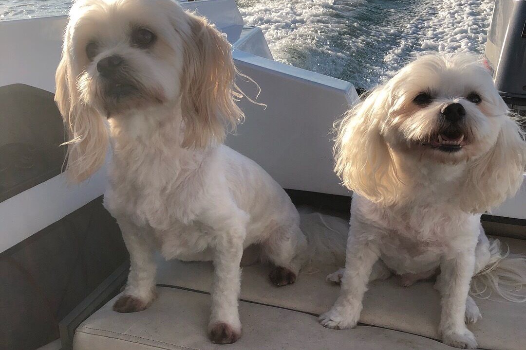 Photo of Others in Runaway Bay