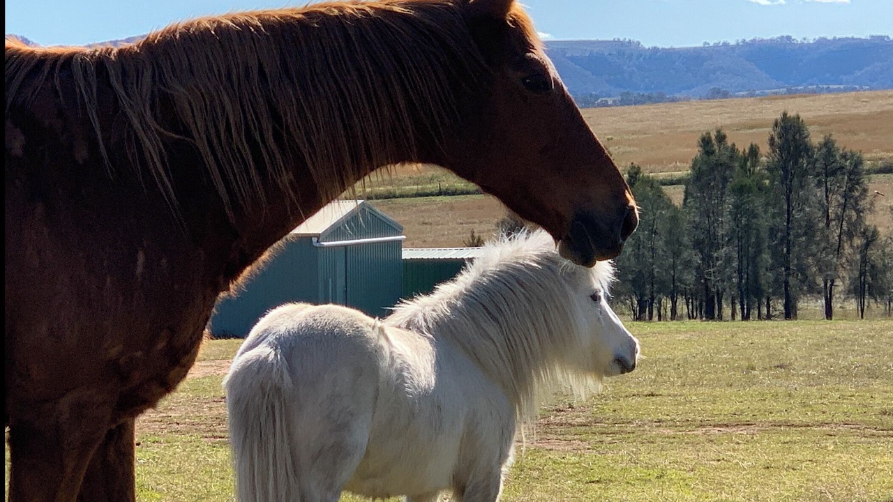 Photo of Outdoor in Castle Rock