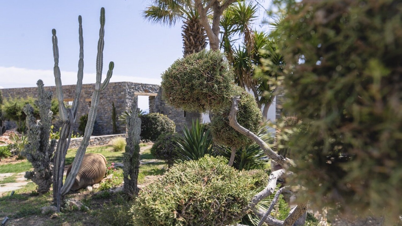 Photo of Outdoor in Paros