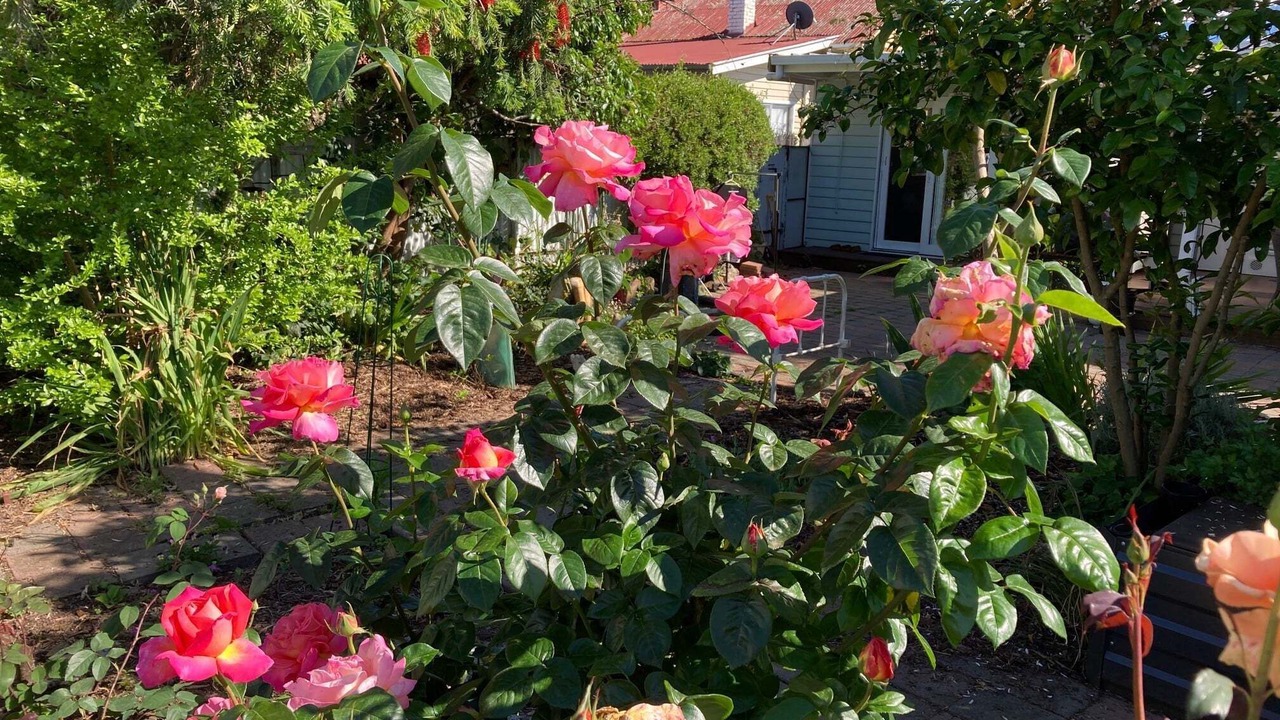Photo of Outdoor in Wangaratta