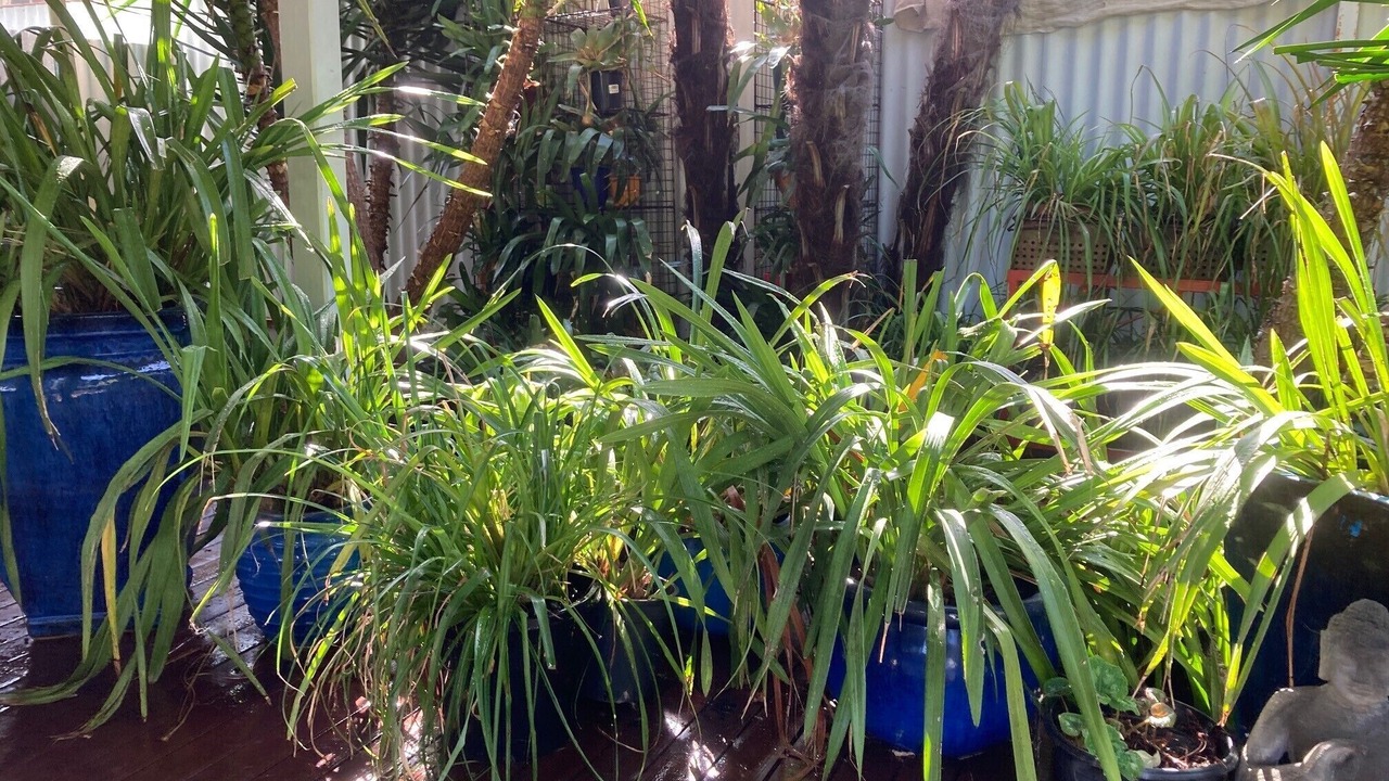 Photo of Outdoor in Wangaratta