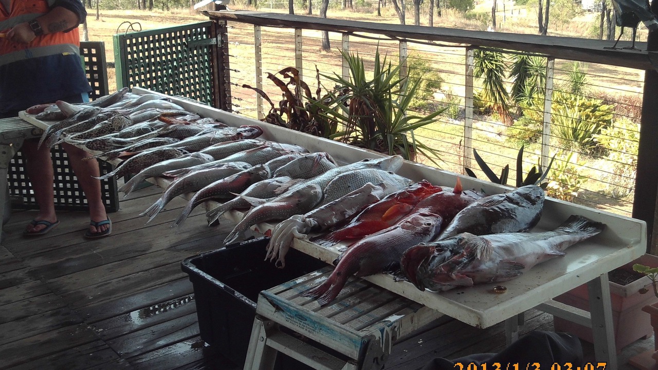 Photo of Outdoor in Rodds Bay