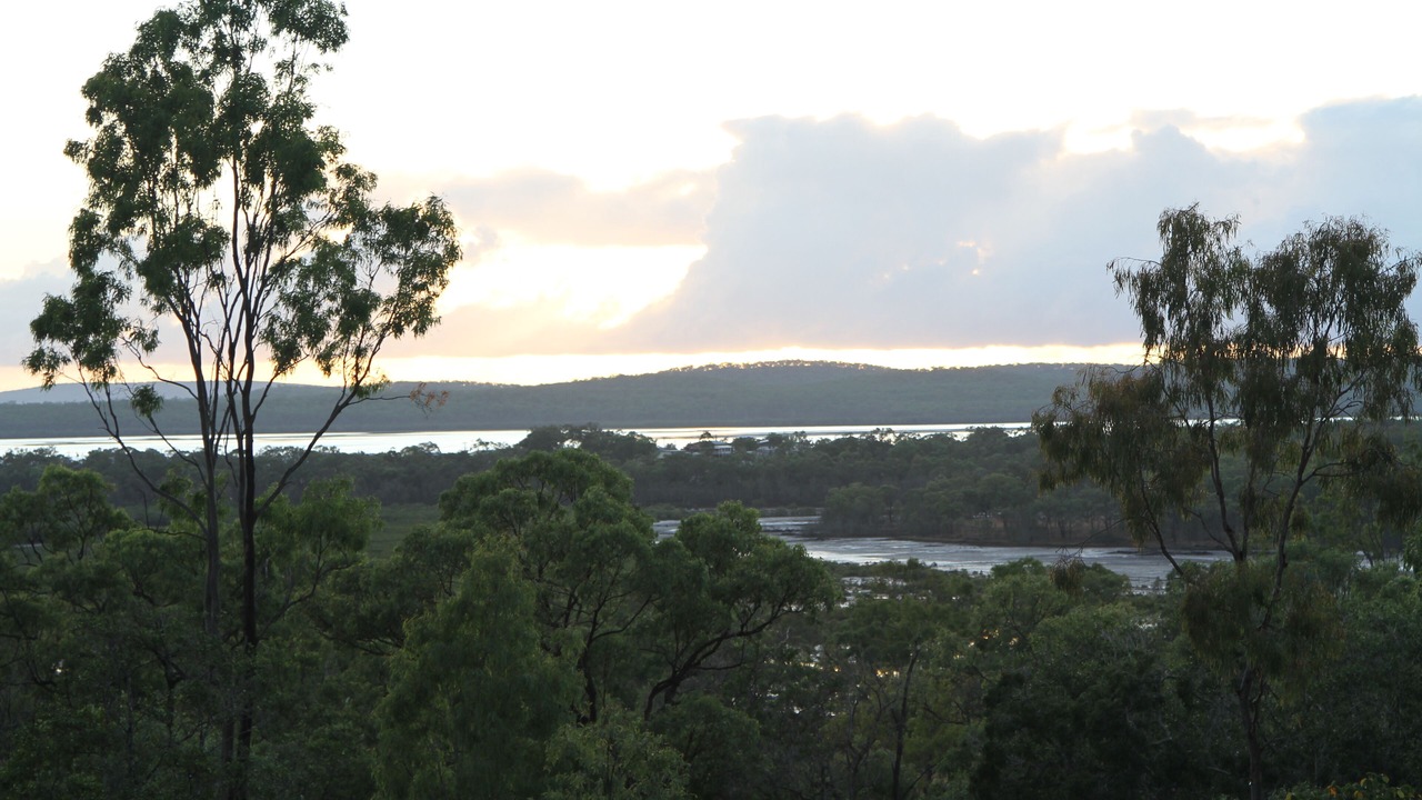 Photo of Others in Rodds Bay