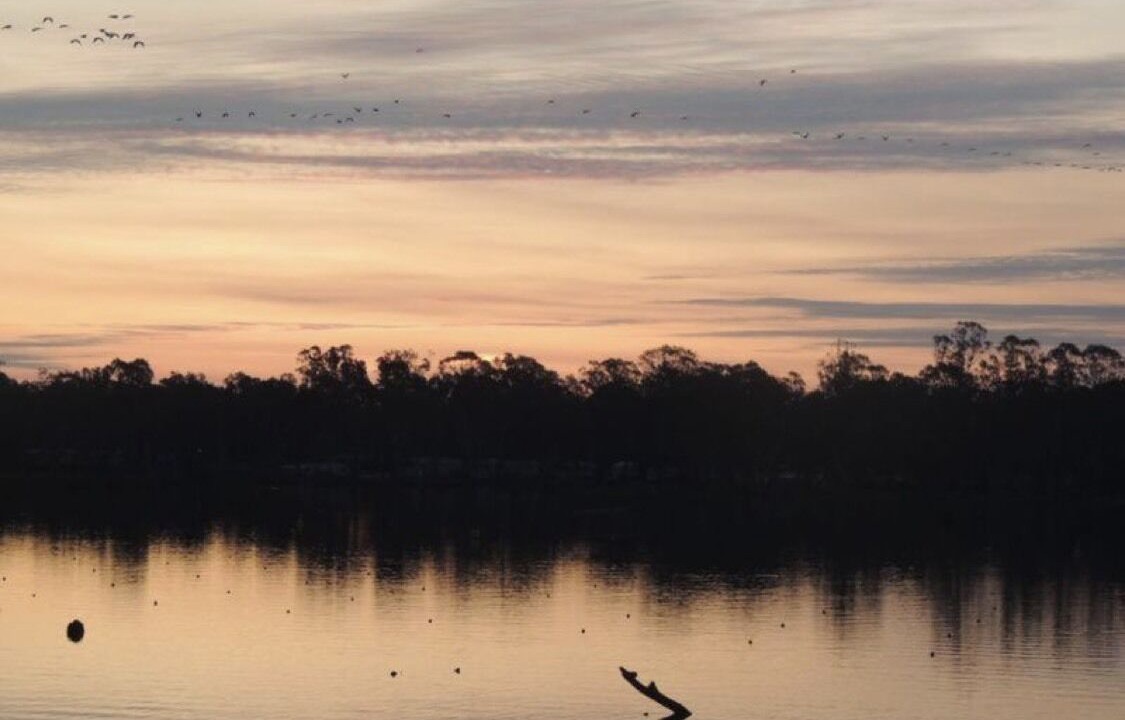 Photo of Others in Nagambie