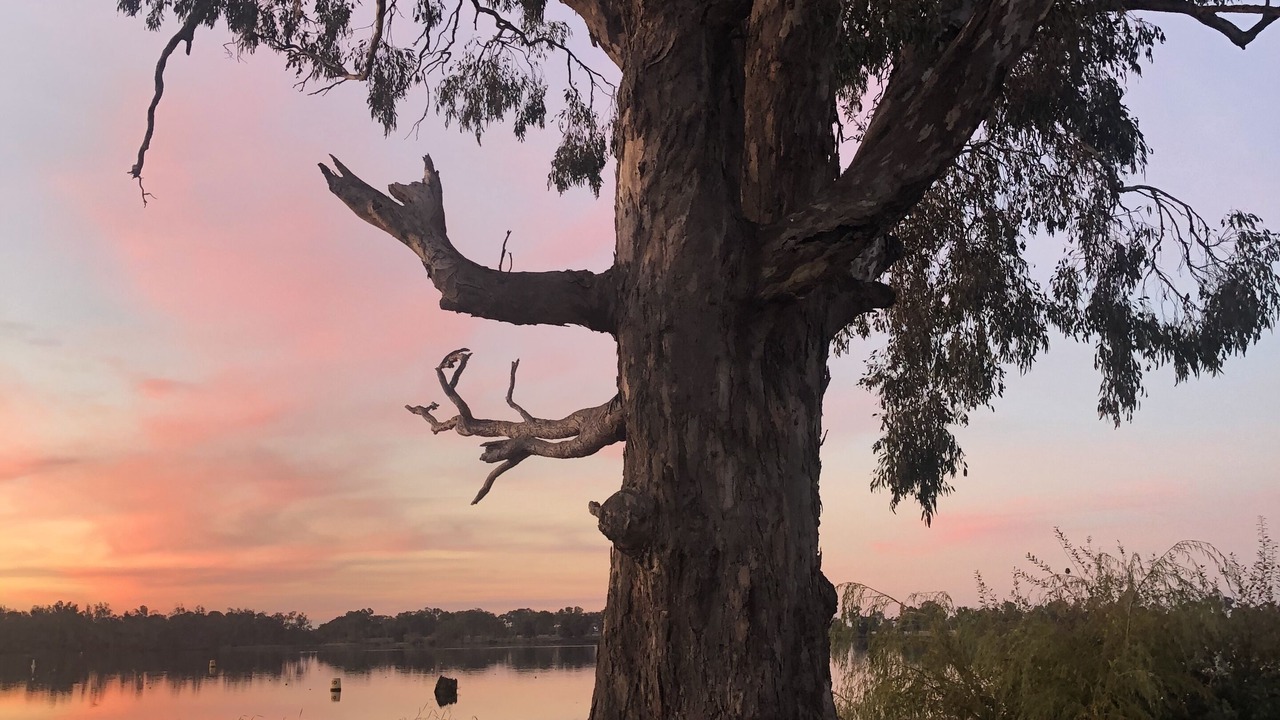 Photo of Others in Nagambie