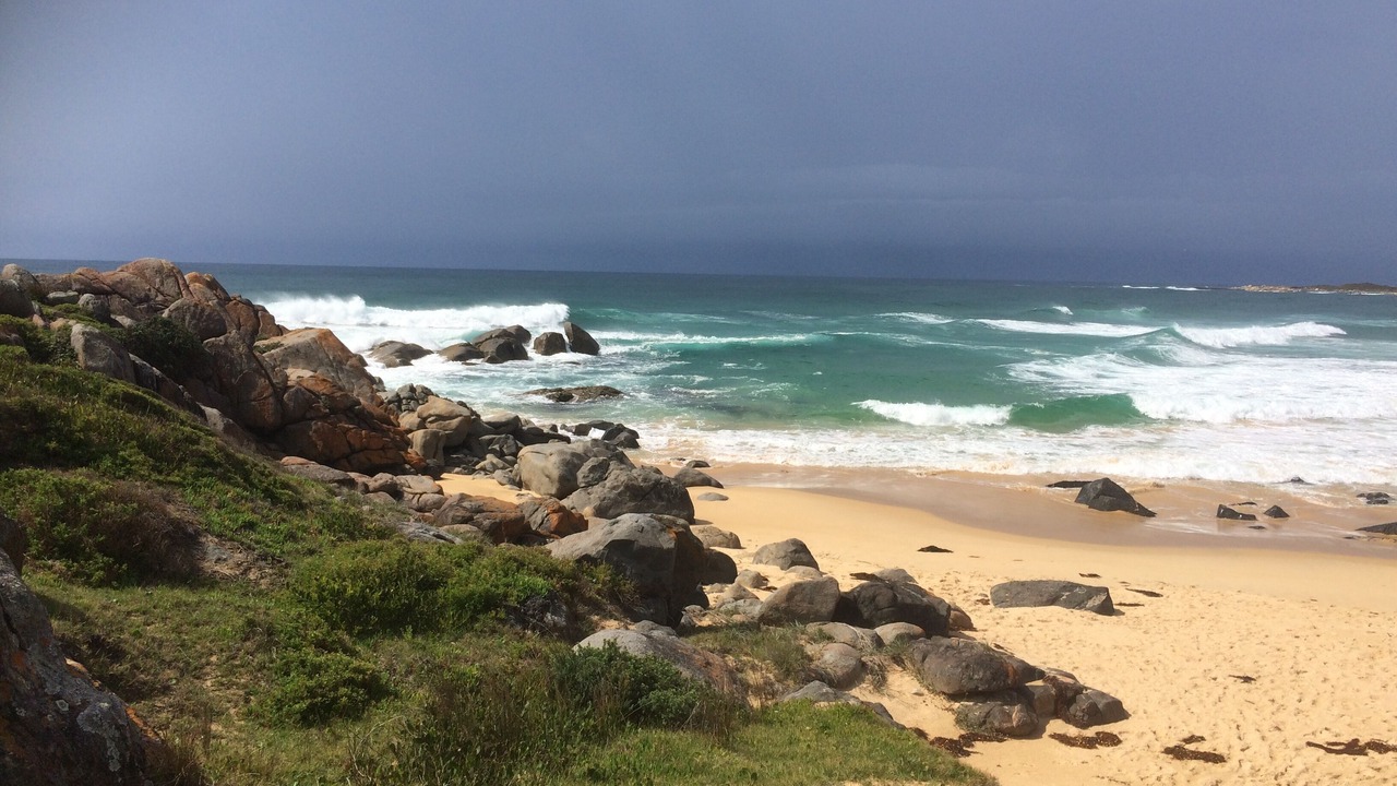 Photo of Others in Tuross Head