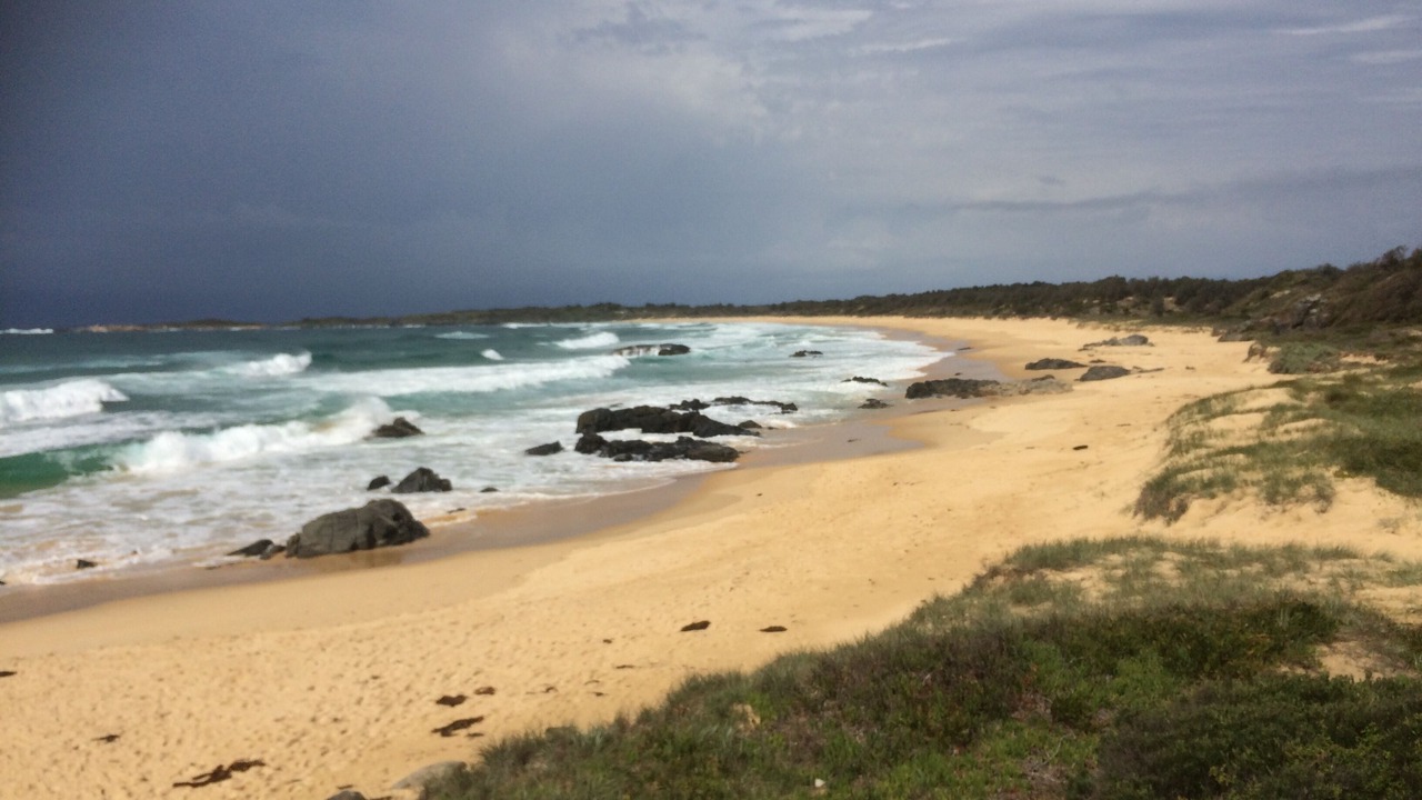 Photo of Others in Tuross Head