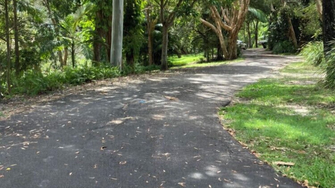 Photo of Others in Moffat Beach