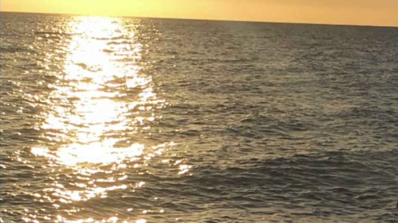 Photo of Others in Brighton