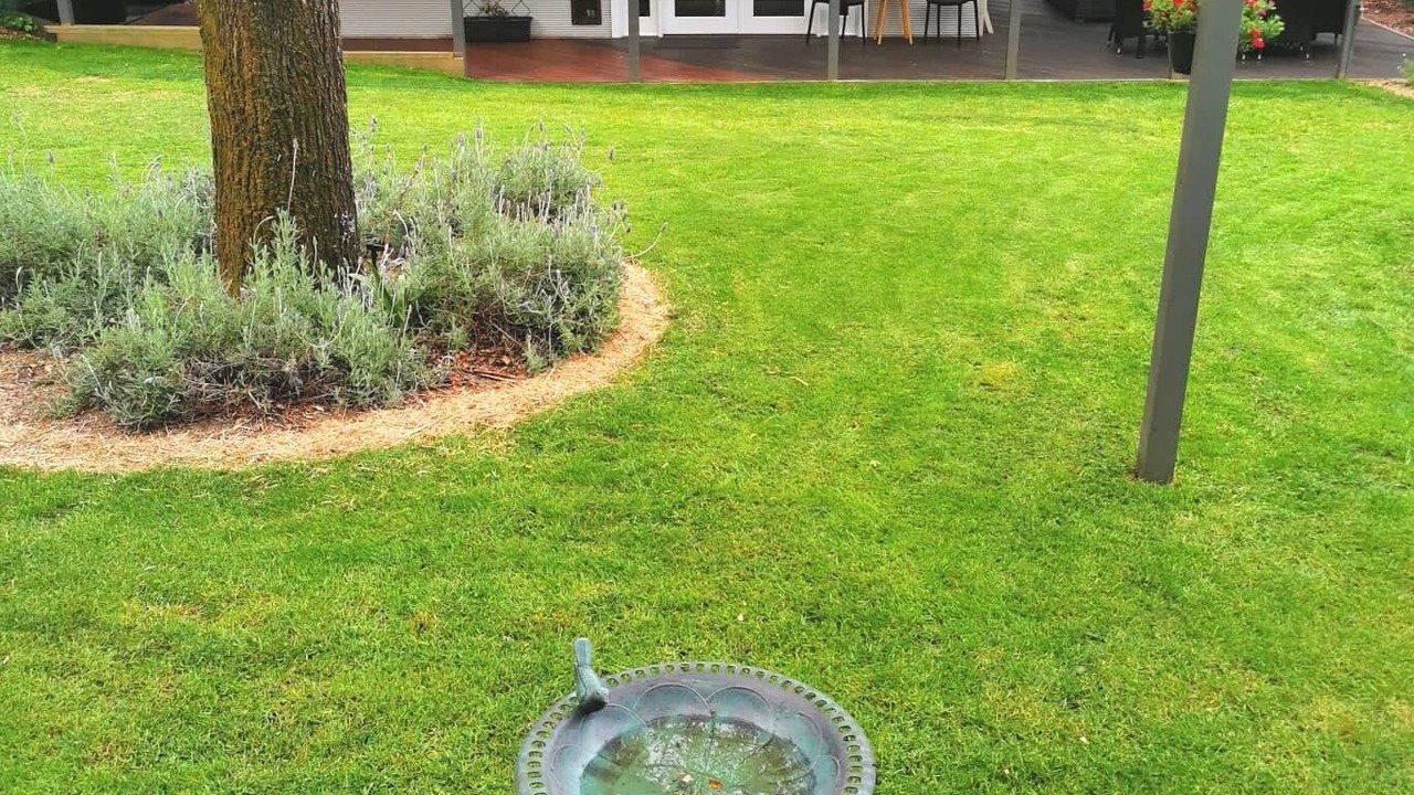 Photo of Outdoor in Leura