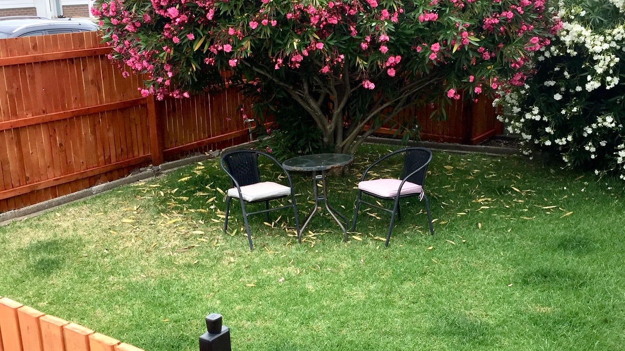 Photo of Outdoor in Bell Park