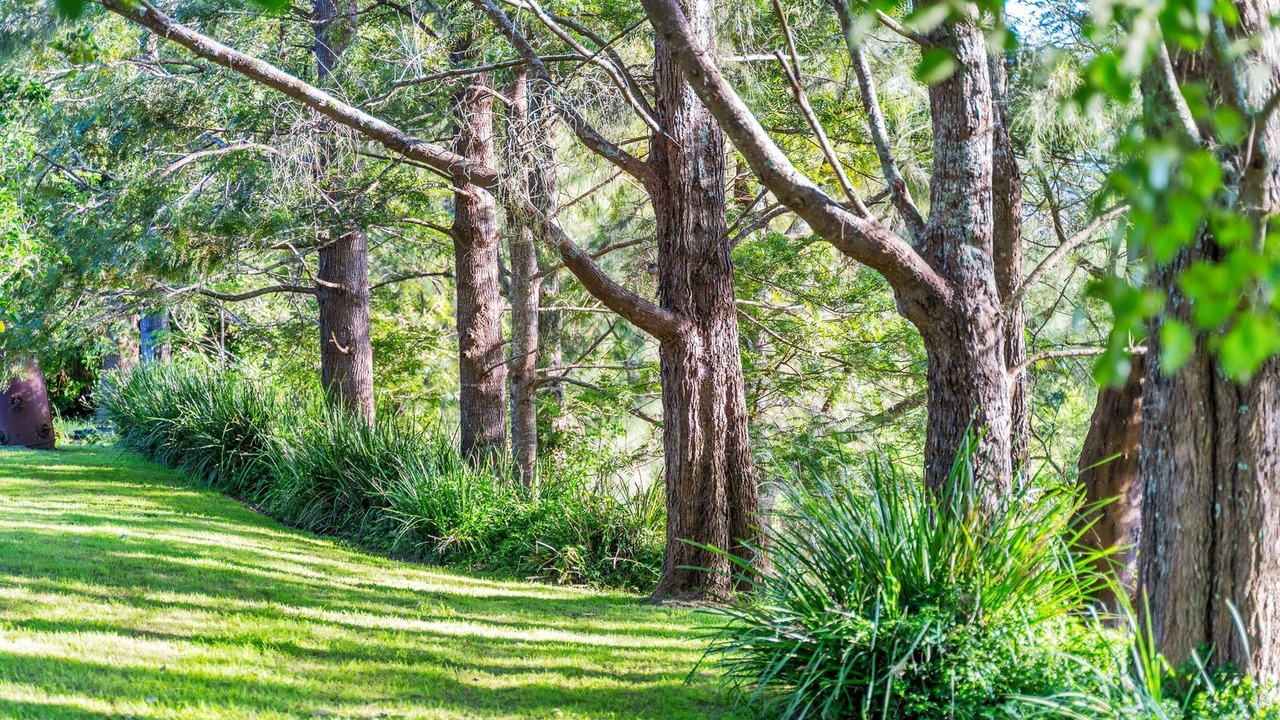 Photo of Outdoor in Berry