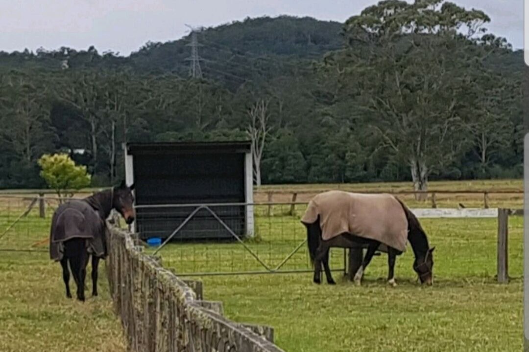 Photo of Outdoor in Dooralong