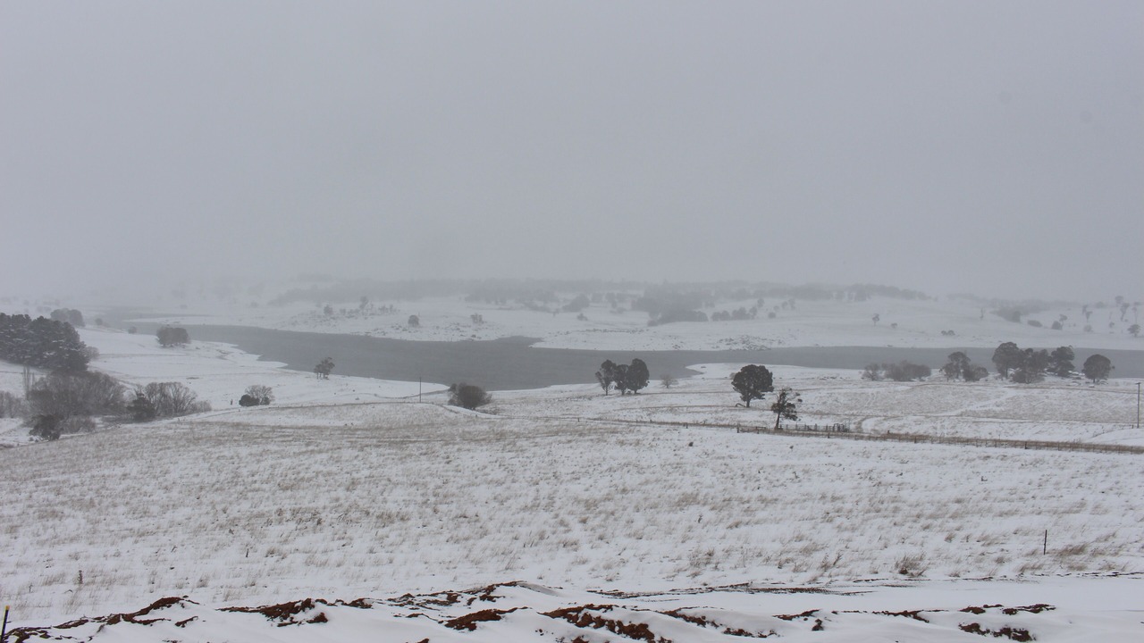 Photo of Others in Oberon