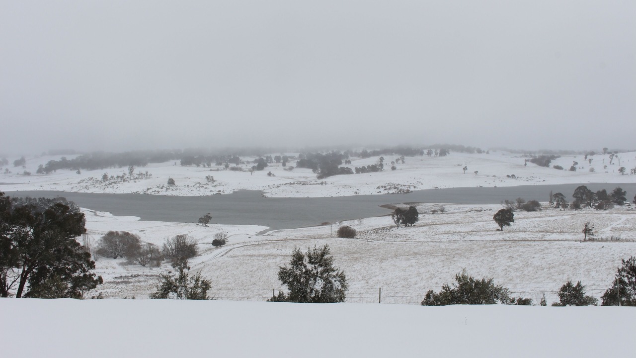 Photo of Others in Oberon