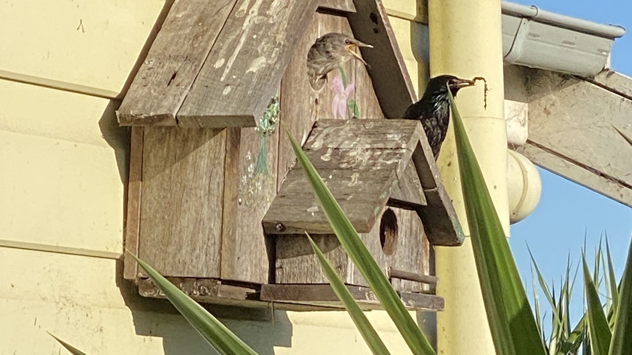 Photo of Outdoor in Maryland