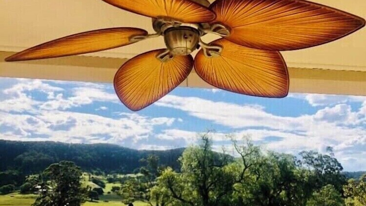 Photo of Outdoor in Bellbird