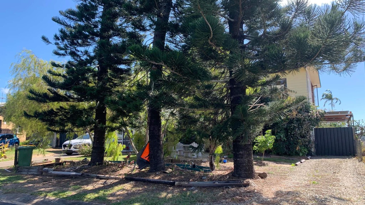 Photo of Outdoor in Woree