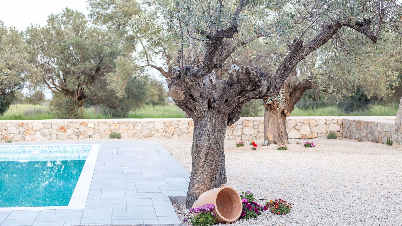 Photo of Outdoor in Kalathos