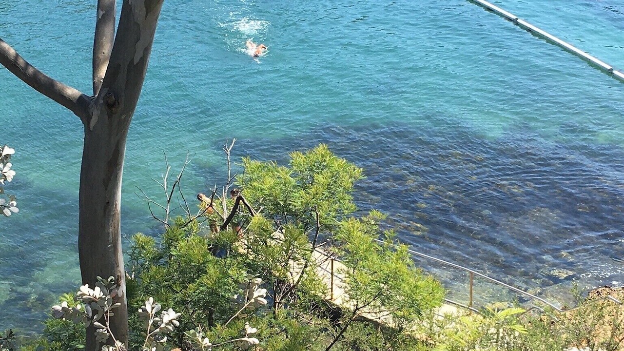 Photo of Others in Vaucluse